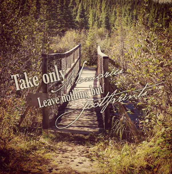 όμορφη instagram από ξύλινη γέφυρα στο δάσος με παράθεση - Φωτογραφία, εικόνα
