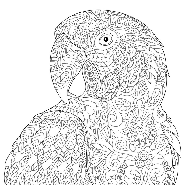 Zentangle stylized macaw - Vektör, Görsel