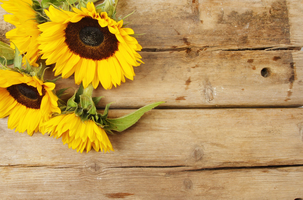 beautiful bouqet of Sunflowers - Foto, immagini