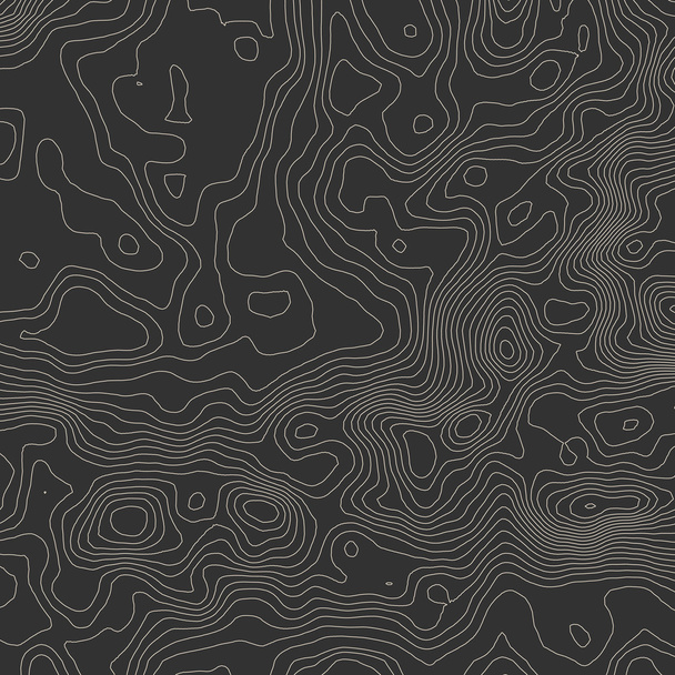 Topographic map background concept with space for your copy. - Foto, Imagen