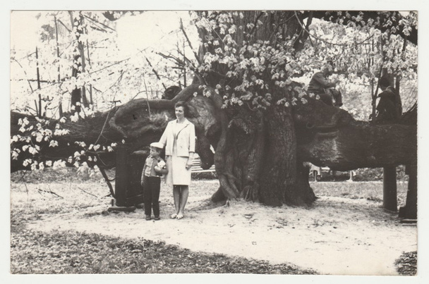 Vintage φωτογραφία δείχνει μητέρα και γιος θέτουν σε εξωτερικούς χώρους. Ρετρό μαύρο & λευκό φωτογραφίας. - Φωτογραφία, εικόνα