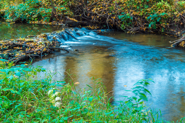流れる川と葉の秋の風景 - 写真・画像