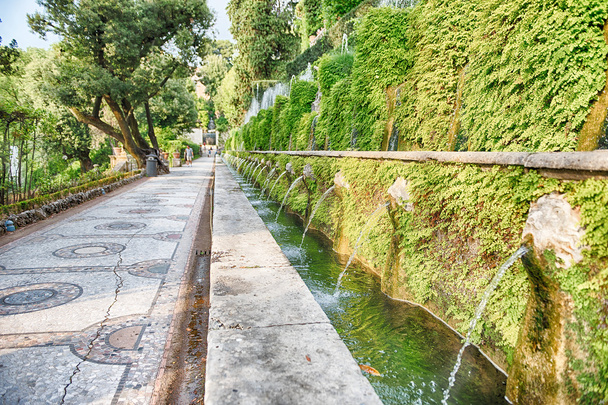 Le cento fontane, Villa d'Este, Tivoli, Italia
 - Foto, immagini