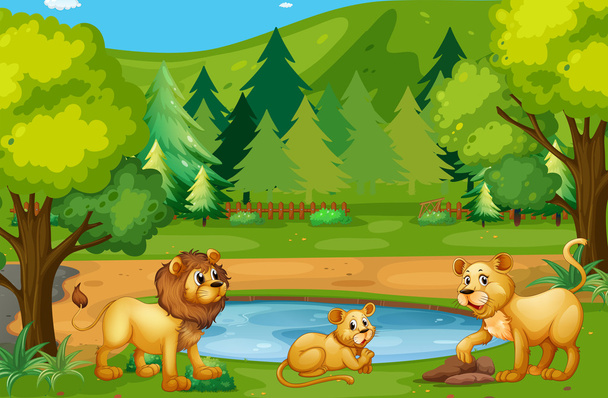 Lion family living in the jungle - Vector, Image
