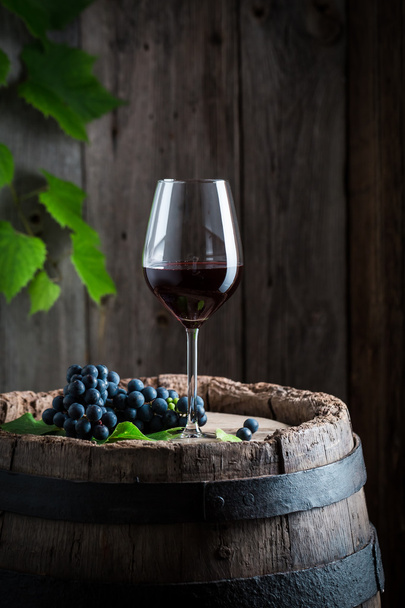 Fresh red wine on barrel with grapes - Φωτογραφία, εικόνα