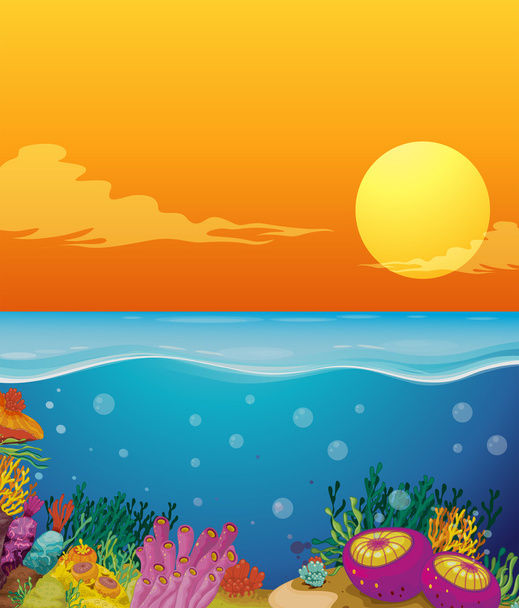 Scene with coral reef under the ocean - Vector, Image