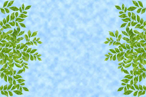 Quadro de folhas verde em nuvens
 - Foto, Imagem