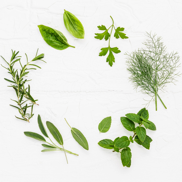 Various fresh herbs from the garden peppermint , sweet basil ,ro - Фото, изображение