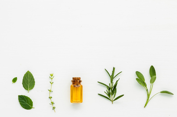 Bottiglia di olio essenziale con salvia fresca alle erbe, rosmarino, timo
 - Foto, immagini