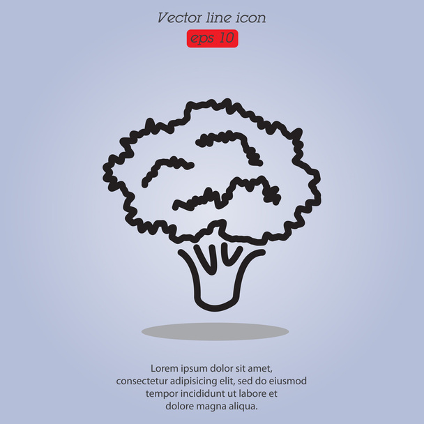 Icono de línea de brócoli
 - Vector, Imagen