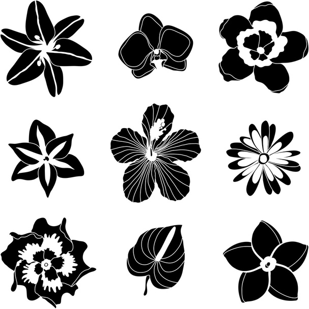 Vector illustration of tropical flowers set - Διάνυσμα, εικόνα