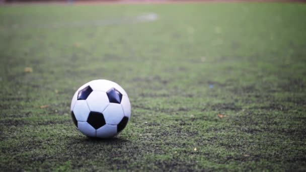 soccer player playing with ball on field - Video