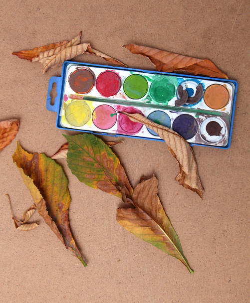 őszi levelek, a stúdió - Fotó, kép