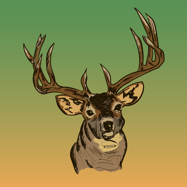 un retrato vectorial de ciervo
 - Vector, Imagen