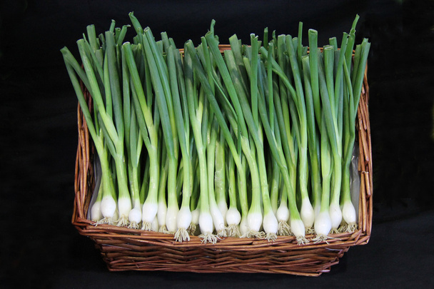 Fresh Spring Onions. - Foto, imagen