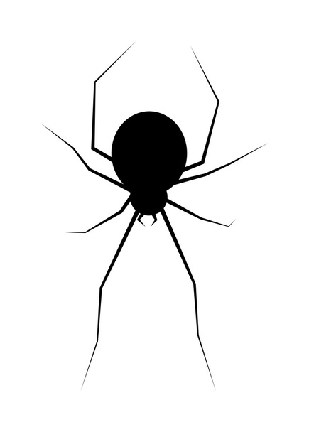 halloween spider vector symbol icon design.  - Vector, afbeelding