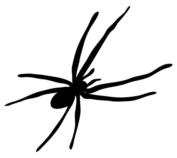 Halloween spider vektor szimbólum ikon tervezés.  - Vektor, kép