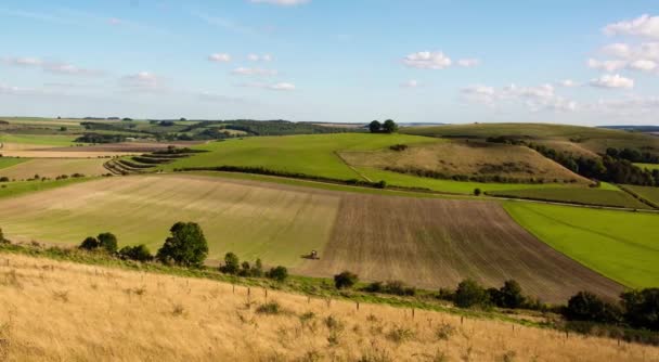 Boer zaaiend zaden op veld in Wiltshire, Engeland - Video