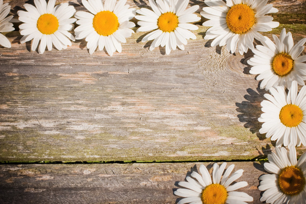 chamomile on wooden background - Photo, Image