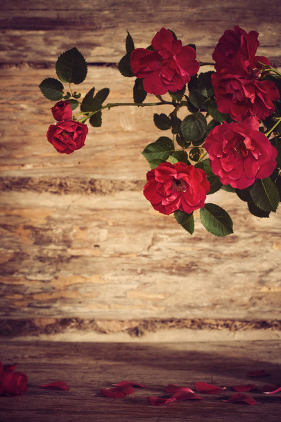 Red rose on wooden background - Foto, immagini