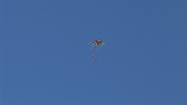 空を飛ぶ凧 - 映像、動画