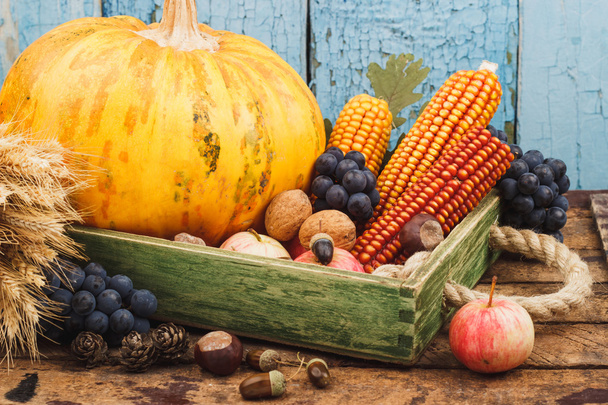 Thanksgiving day: Tray of different autumn vegetables - Fotografie, Obrázek