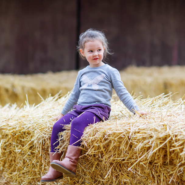happy girl having fun with hay on a farm - Fotó, kép
