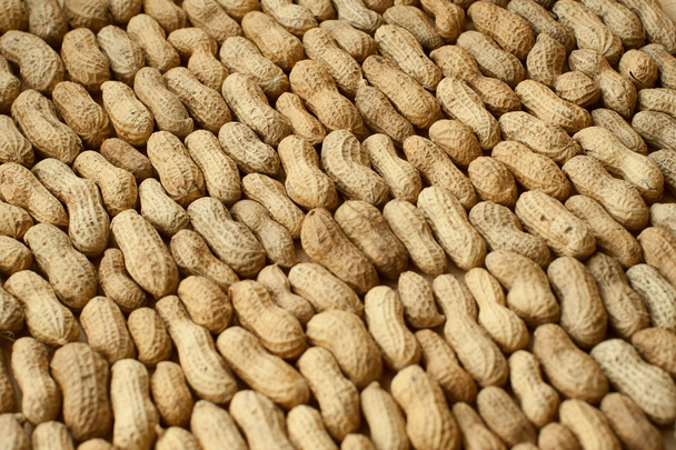 Kuorelliset maapähkinät
 - Valokuva, kuva