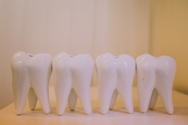 human Teeth on white  - Photo, Image