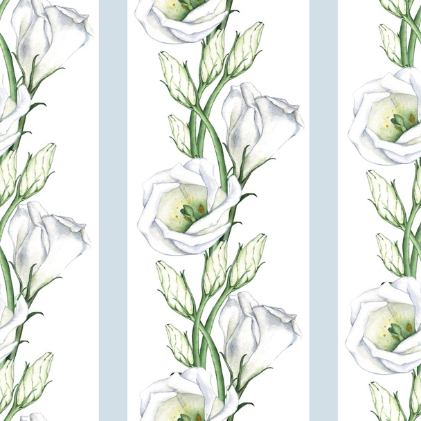White flowers 4.  - Foto, Imagem