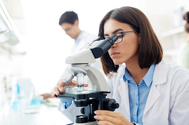 Ученый смотрит в микроскоп
 - Фото, изображение