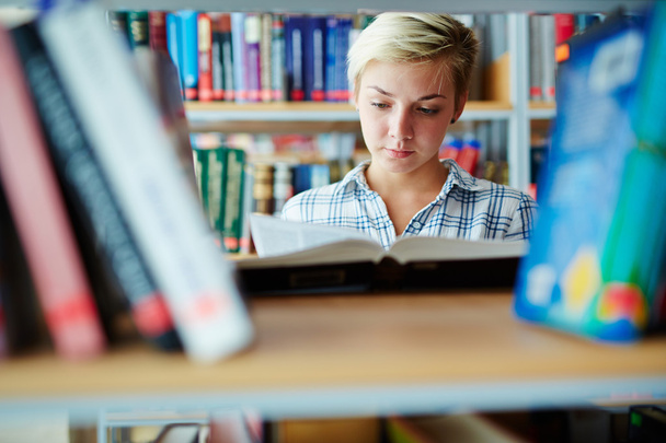 Grave giovane studente che legge in biblioteca
 - Foto, immagini