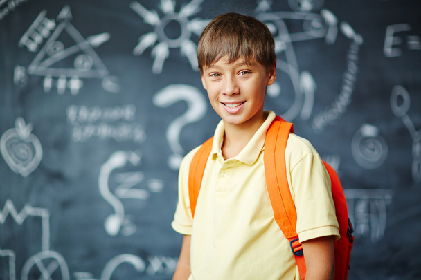 Happy schoolboy at blackboard - Photo, Image