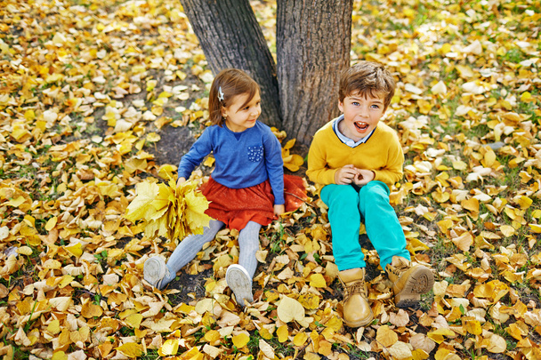 Siblings Playing in Autumn Park - Photo, Image