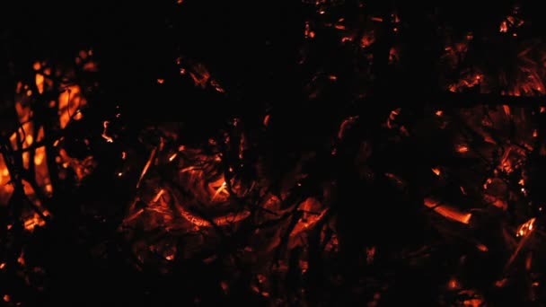 brasas Smouldering ao queimar ramos
 - Filmagem, Vídeo