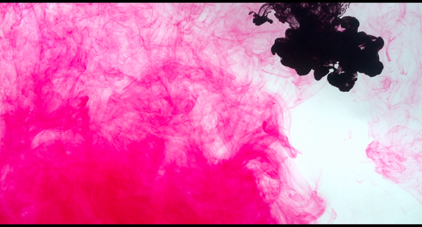 rosa und schwarze Tinte - Filmmaterial, Video