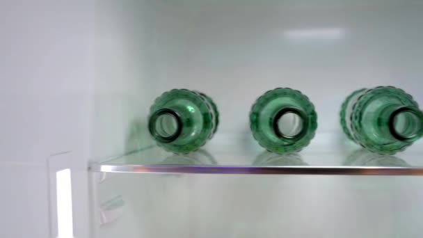 Lege flessen bier op een plank in een koelkast - Video