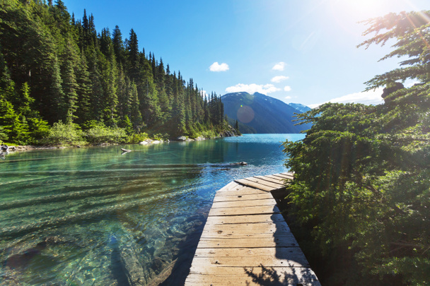 Lago Garibaldi in Canada
 - Foto, immagini