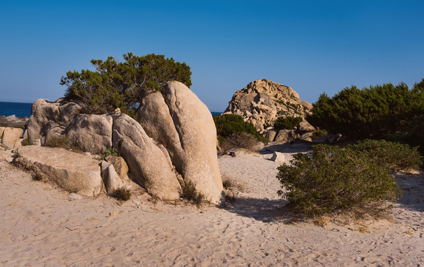 Beautiful coast in Sardinia - Photo, Image