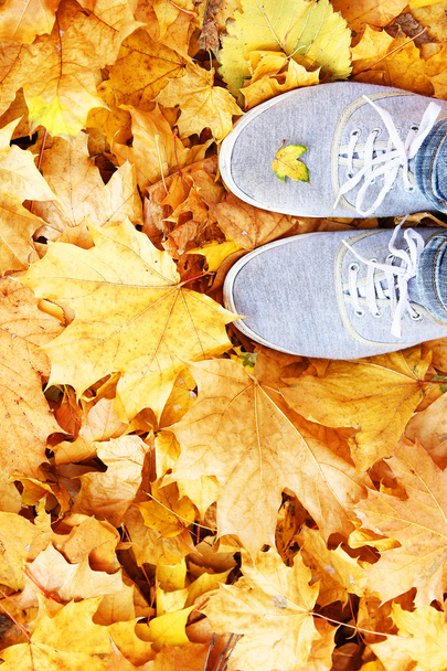 feet on the background of leaves - Fotoğraf, Görsel