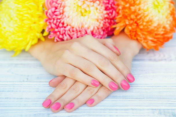 Pink manicure and daisy flower - Фото, изображение