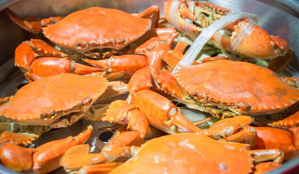 Steamed Crab on pot - Photo, Image