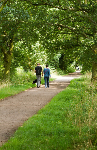 jeune couple promenant son chien le long d'un chemin de campagne
 - Photo, image