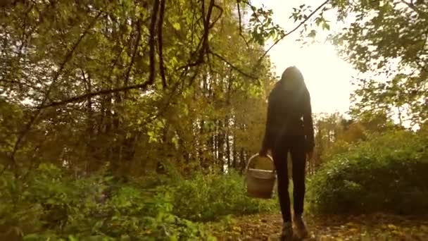 Young woman walking through autumn forest holding a picnic basket. Slow motion steadicam clip - Imágenes, Vídeo