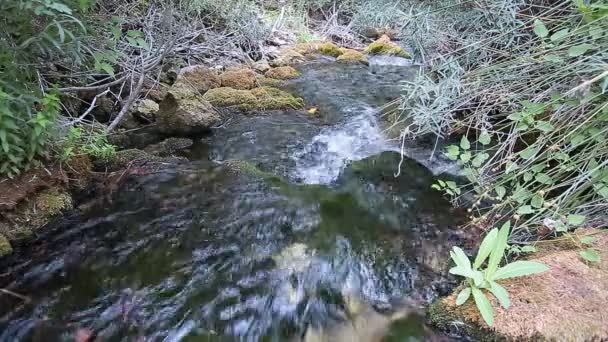 Wood River in summer. - Footage, Video