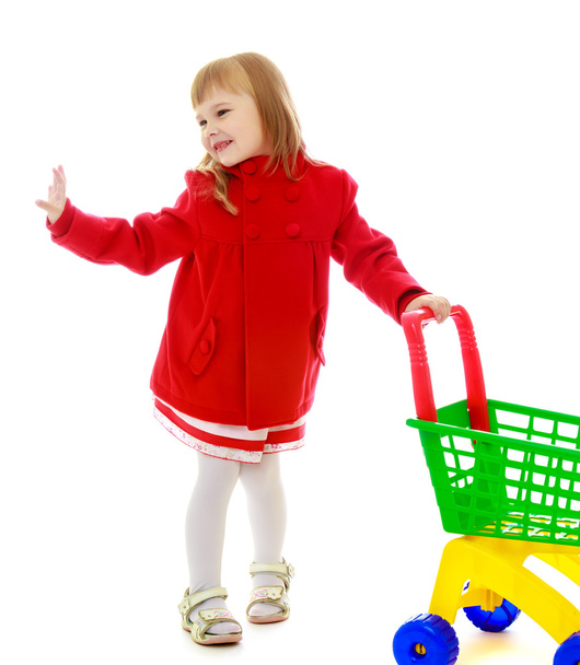 Little girl with shopping cart - Фото, изображение