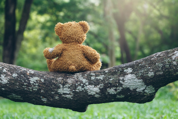 Cute Teddy Bear sitting on a branch. - Photo, Image