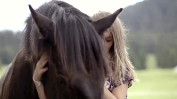 Girl petting horse - Felvétel, videó