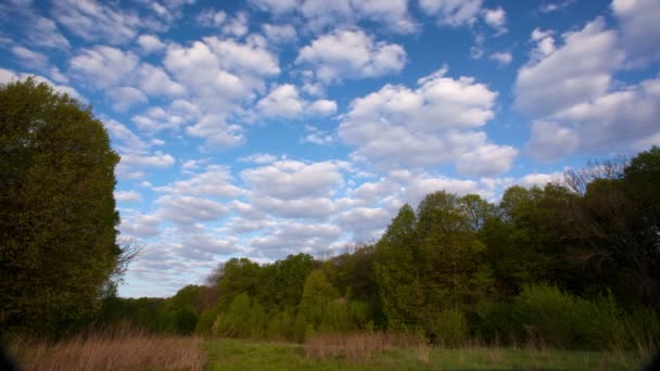   paisaje con nubes, cielo azul y bosque. El lapso de tiempo. 4K ( 4096x2304
)     - Imágenes, Vídeo