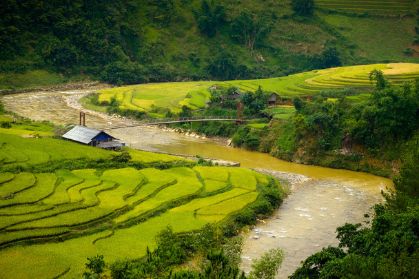 Rice fields on terraces in the sun at MuCangChai, Vietnam.  - Photo, Image